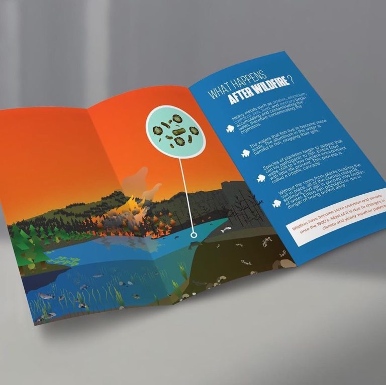 Brochure Design - Sadie Hiland Graphic Design