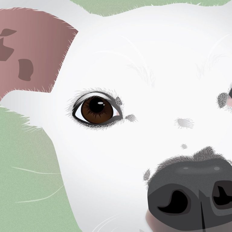 Illustration - Puppy - Sadie Hiland Graphic Design