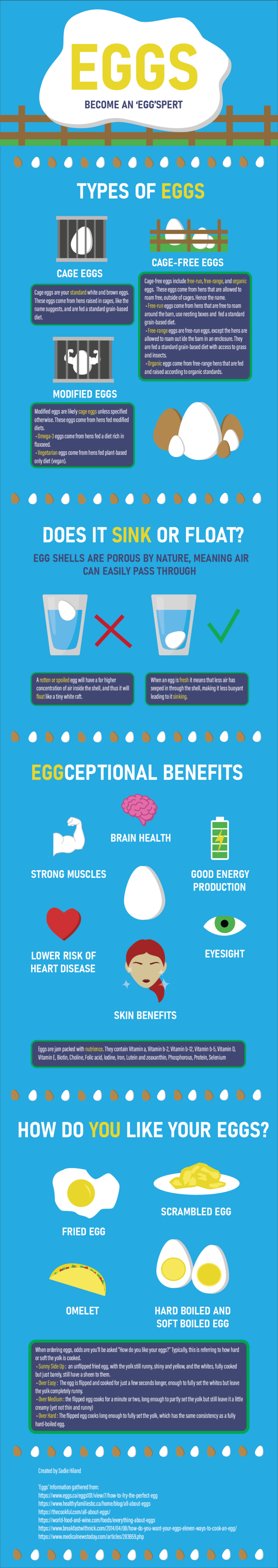 infographic - Sadie Hiland Graphic Design